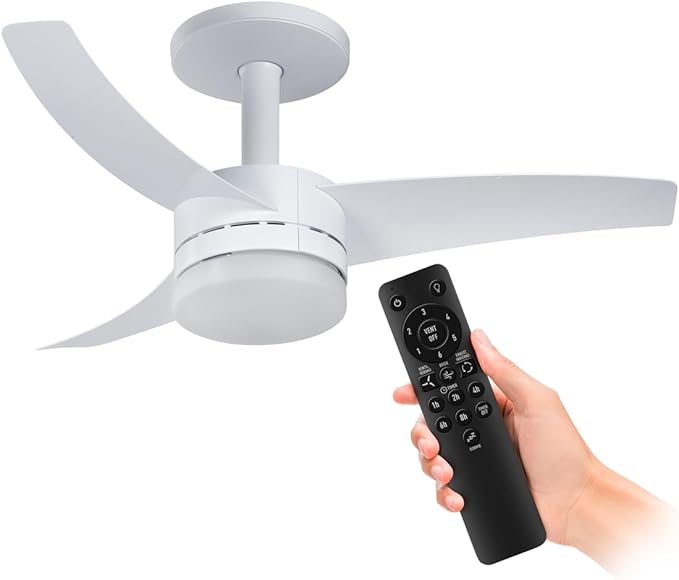 Ventiladores de teto com controle remoto.